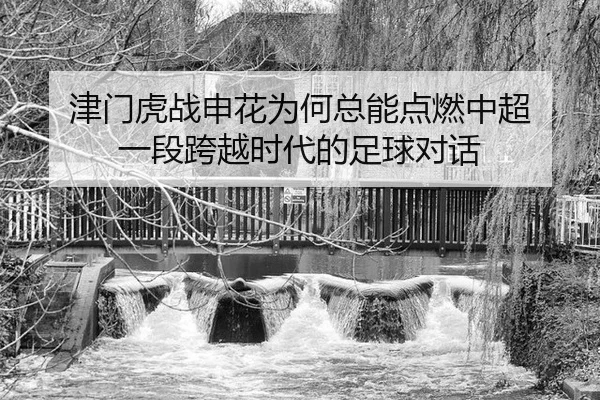 津门虎战申花为何总能点燃中超 一段跨越时代的足球对话